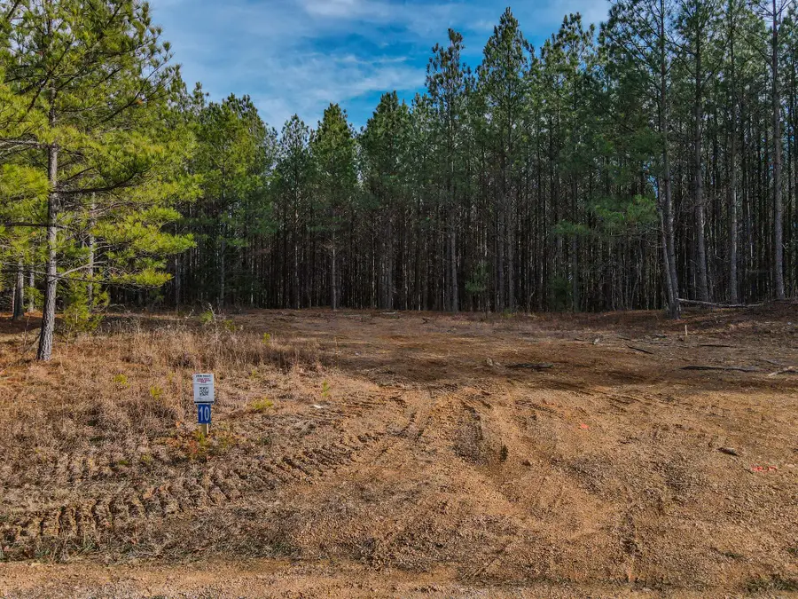 0 Brush Creek Rd, Hohenwald, TN 38462 - Image #3