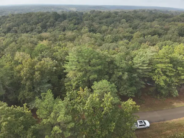 62 Hardison Ln, Linden, TN 37096