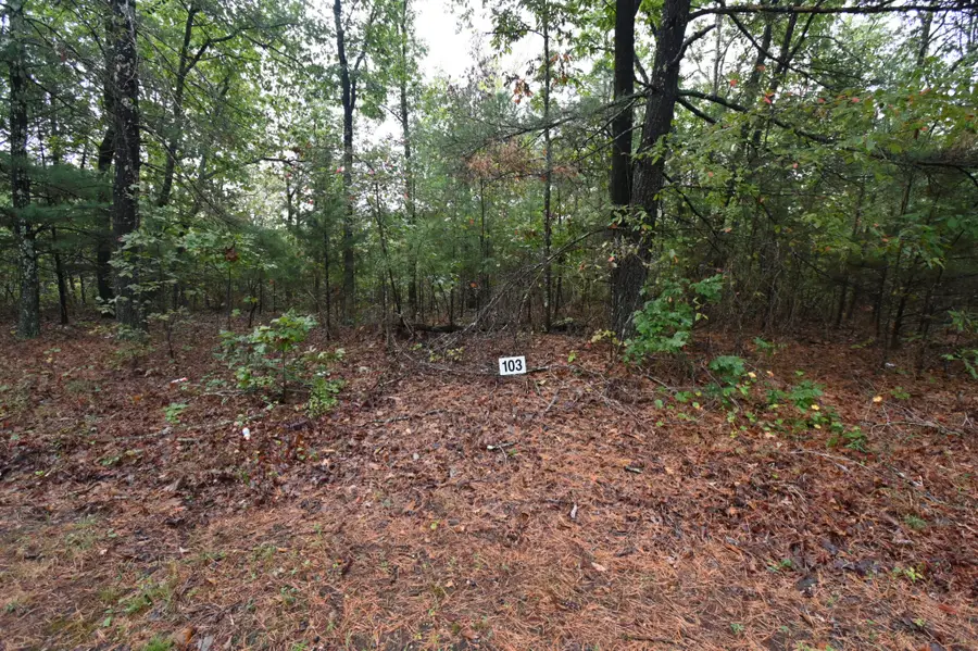 62 Hardison Ln, Linden, TN 37096 - Image #2