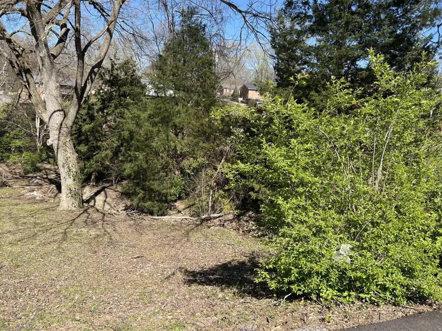 323 Clearview Dr, Clarksville, TN 37043 - #2