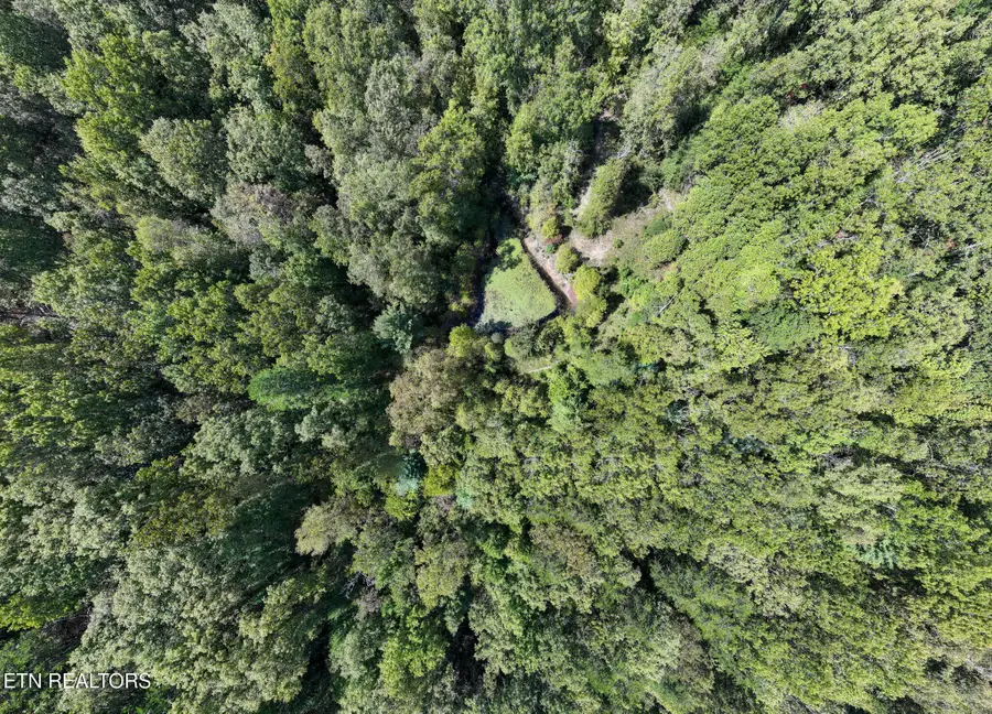 0 Tiffany Lane, Jamestown, TN 38556 - Image #2