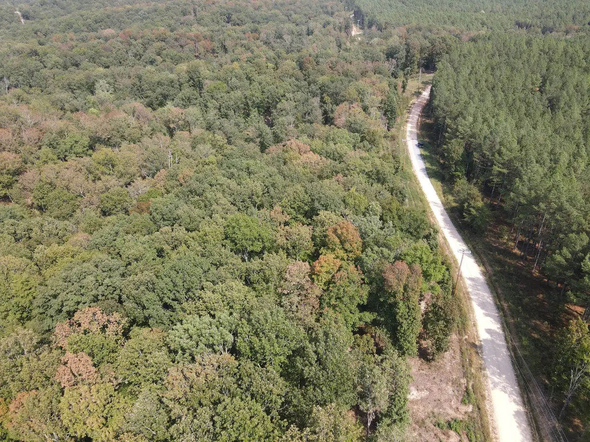 0 Bear Creek Rd, Waverly, TN 37185 - #1
