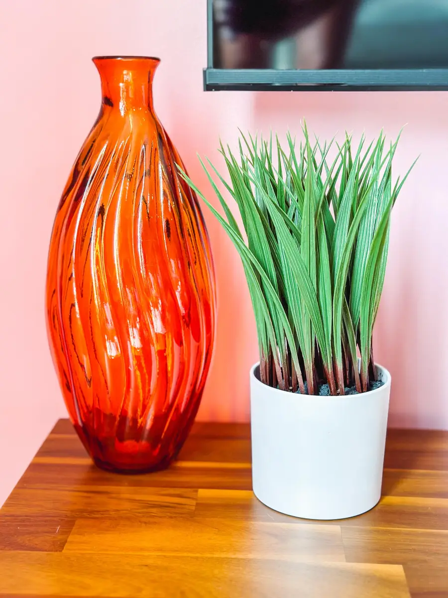 916 Buchanan St #205, Nashville, TN 37208 - Image #3