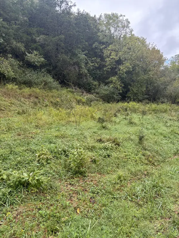 0 Gipson Hollow Road, Gainesboro, TN 38562