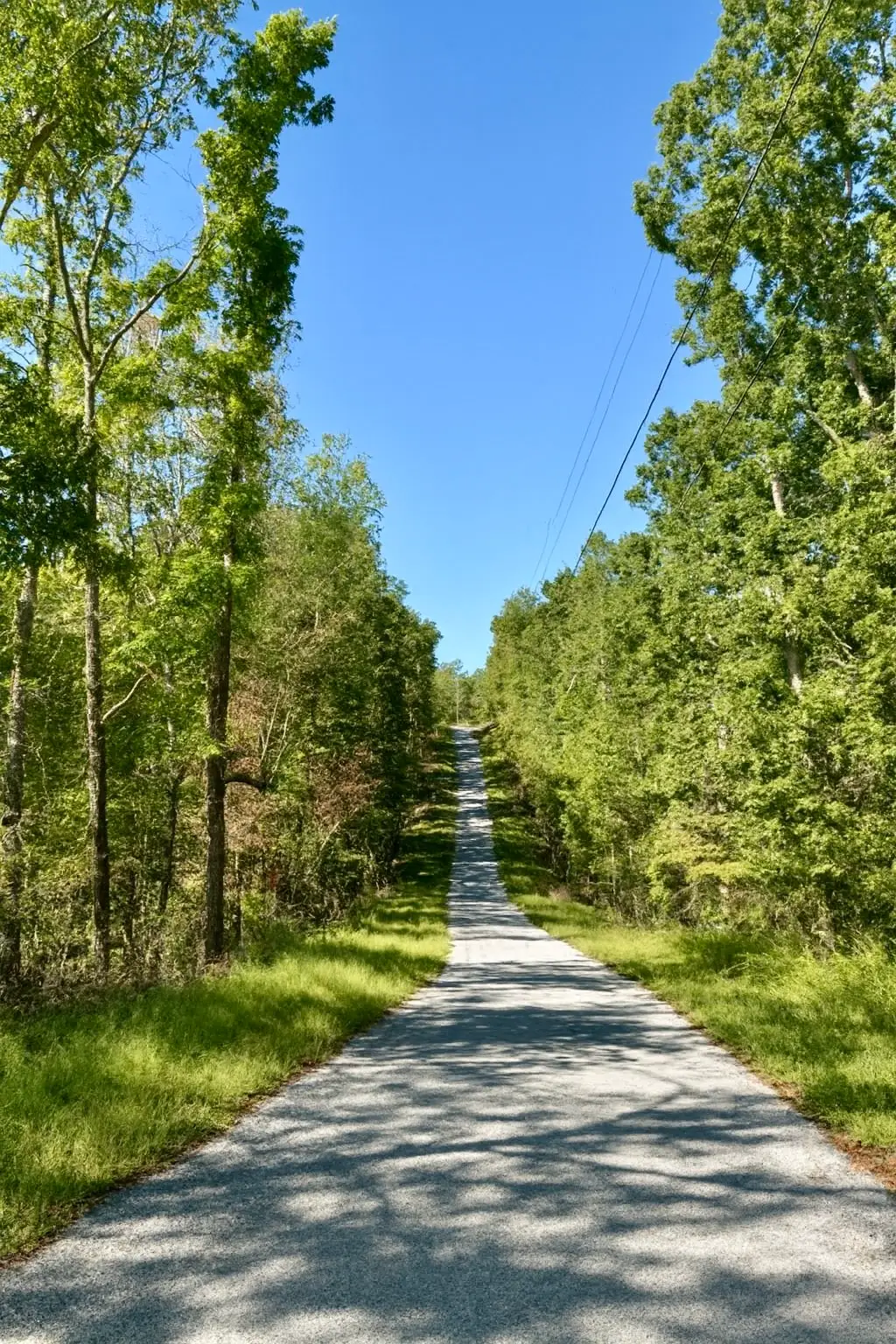 135 Old Hickory Dr, Holladay, TN 38341 - #1