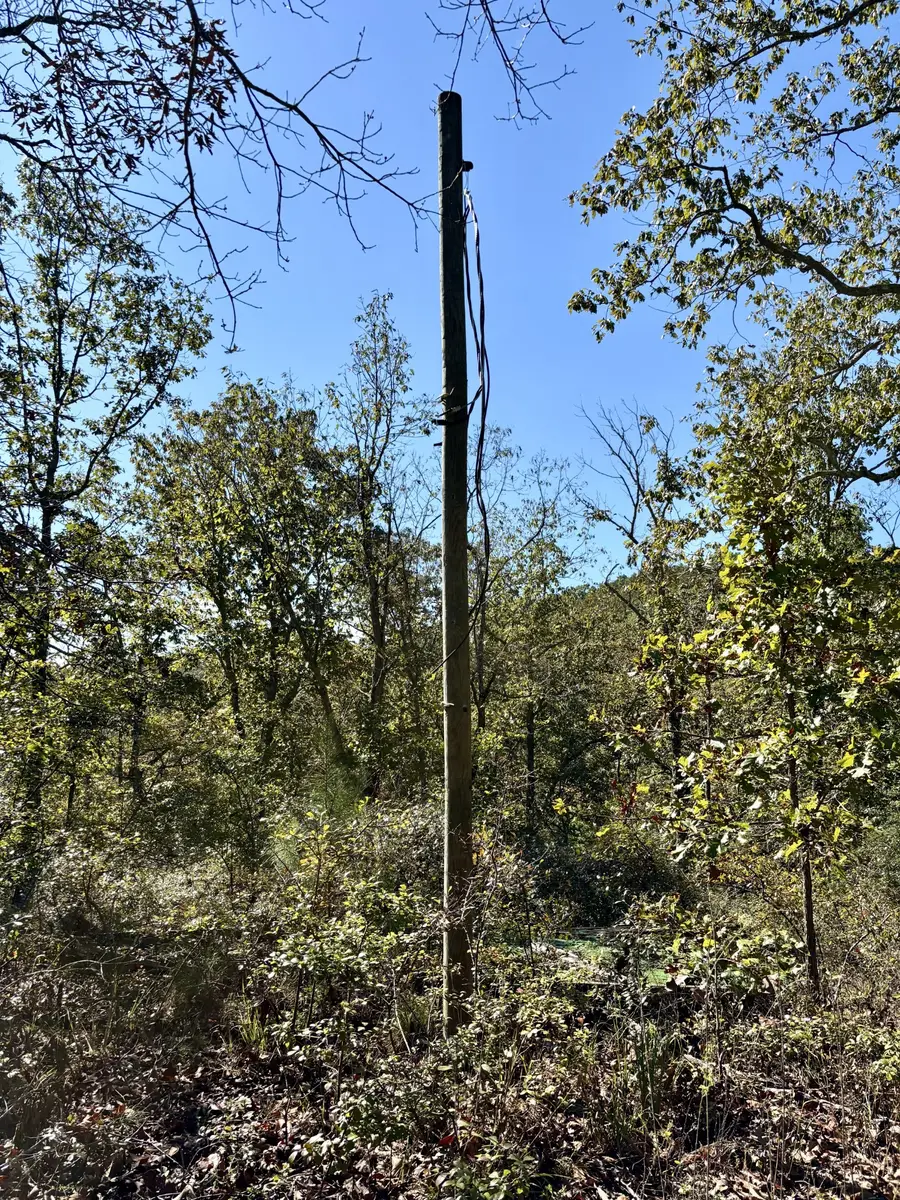 135 Old Hickory Dr, Holladay, TN 38341 - #3