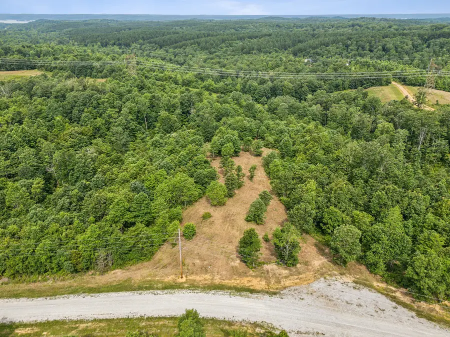 0 Bear Hollow Dr, Waverly, TN 37185 - Image #3