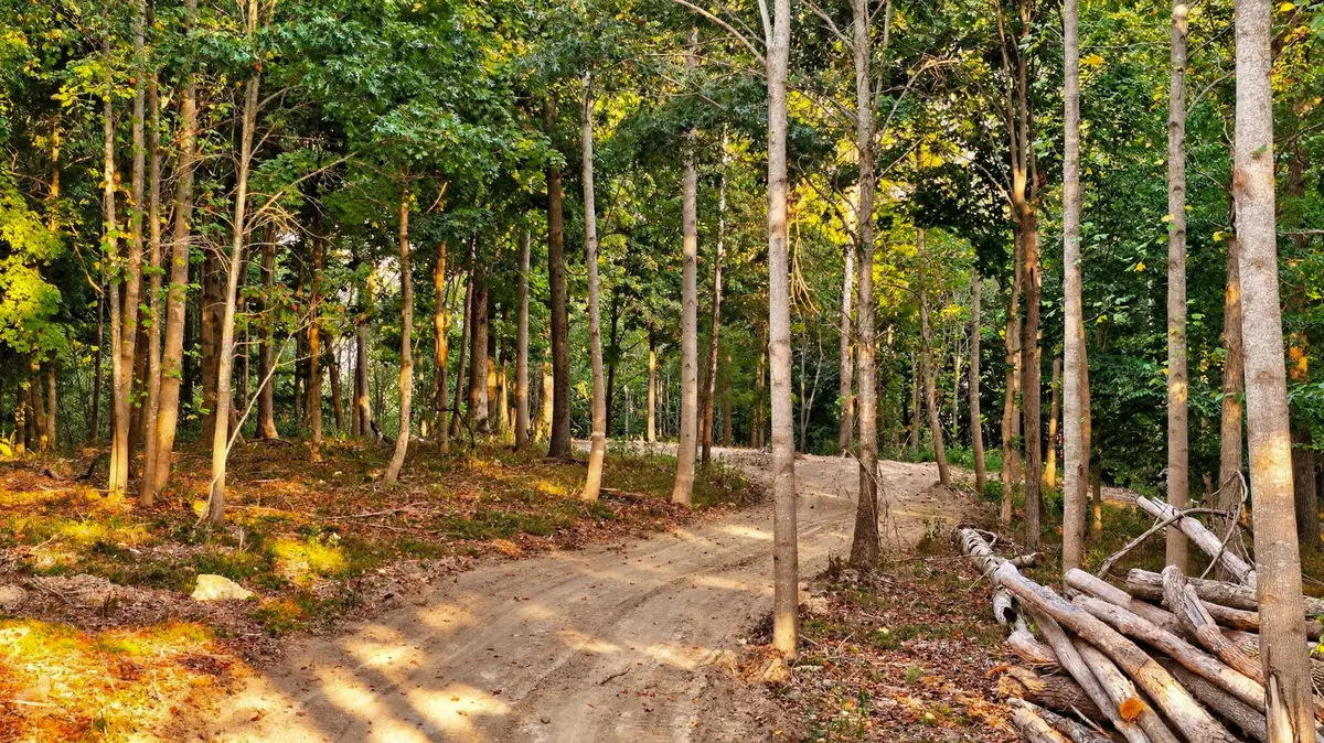 2480 Claylick Rd, Whites Creek, TN 37189 - Image #1