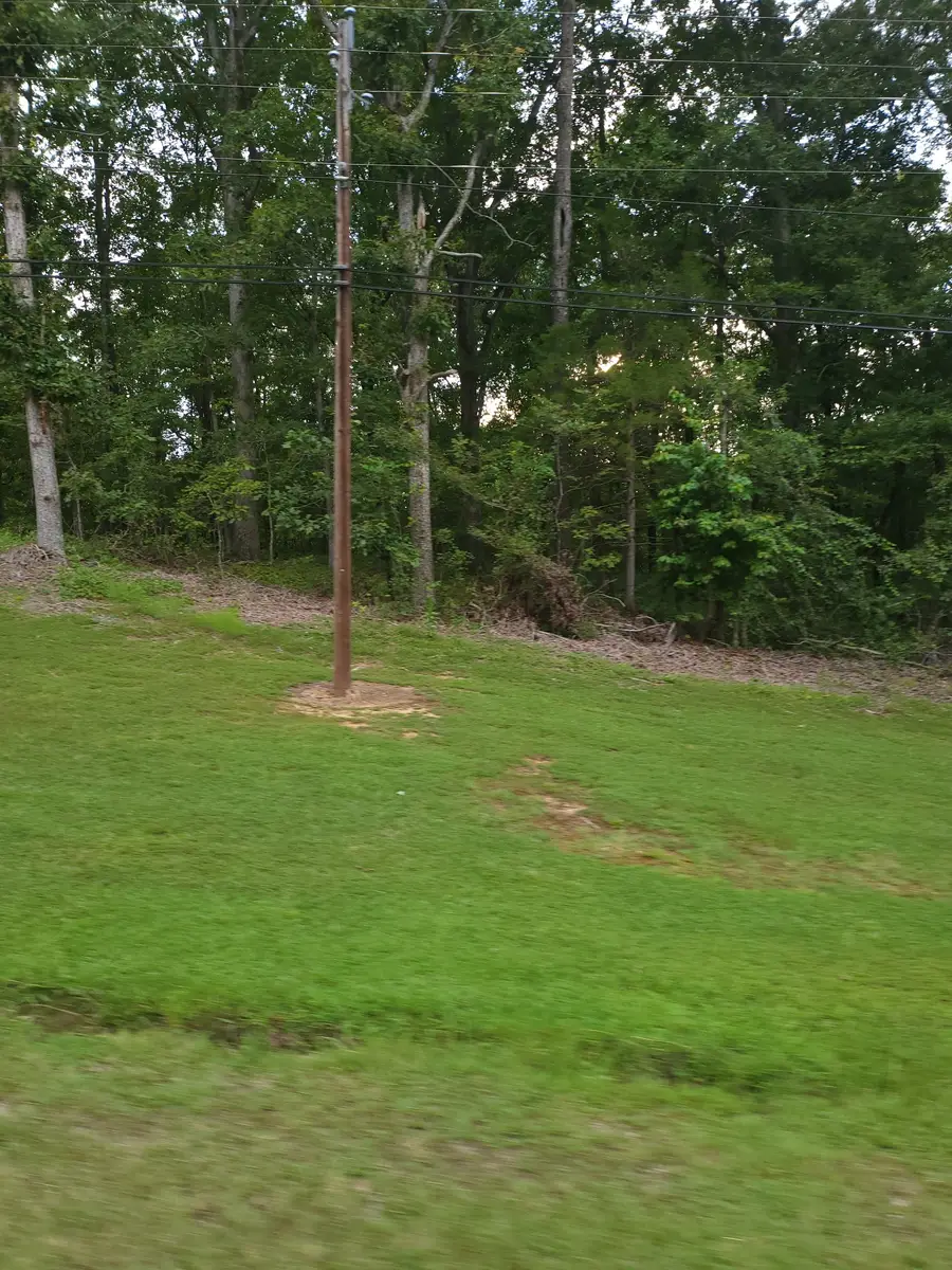 905 Grand Valley, Saulsbury, TN 38067 - #2