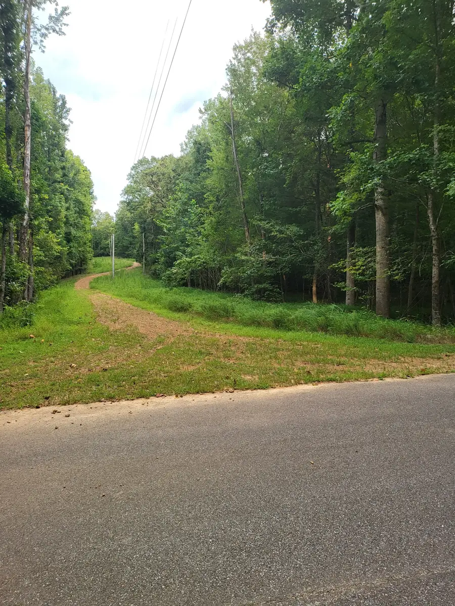 905 Grand Valley, Saulsbury, TN 38067 - #3