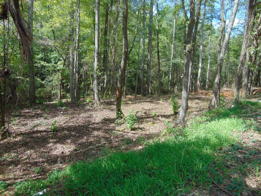 0 Alexander Springs Rd, Ethridge, TN 38456 - Image #2