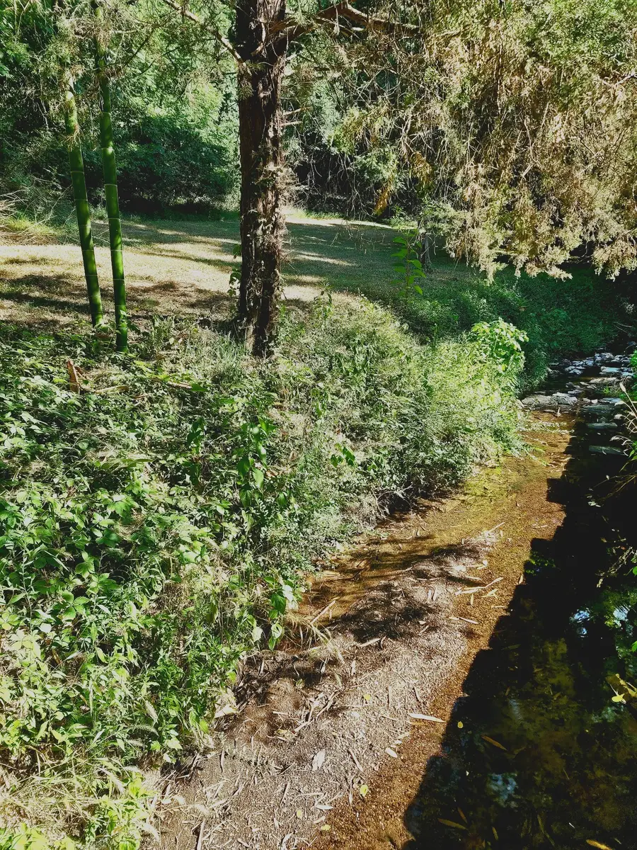 267 Graylynn Dr, Nashville, TN 37214 - #3