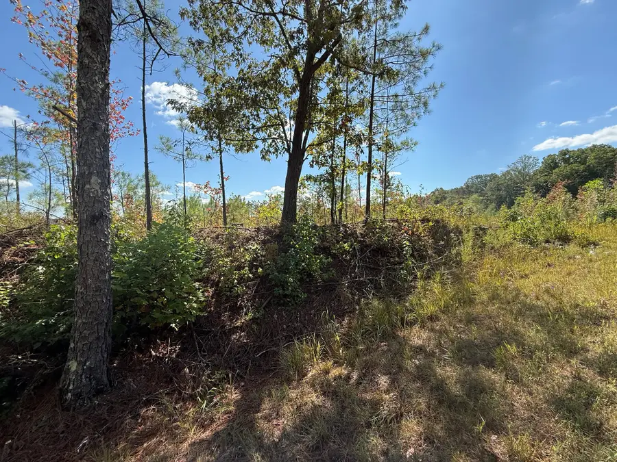 3 Leapwood Enville Rd, Adamsville, TN 38310 - Image #2