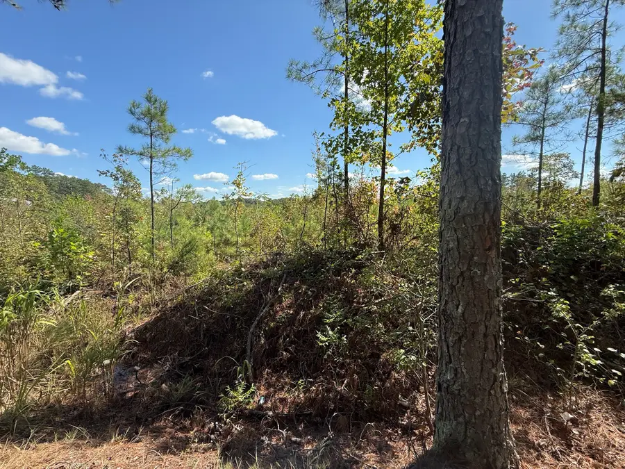 3 Leapwood Enville Rd, Adamsville, TN 38310 - Image #3