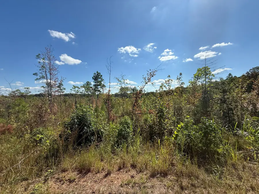 4 Leapwood Enville Rd, Adamsville, TN 38310 - Image #2