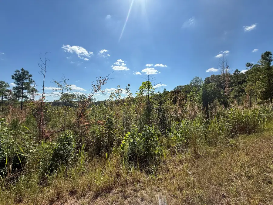 4 Leapwood Enville Rd, Adamsville, TN 38310 - Image #3