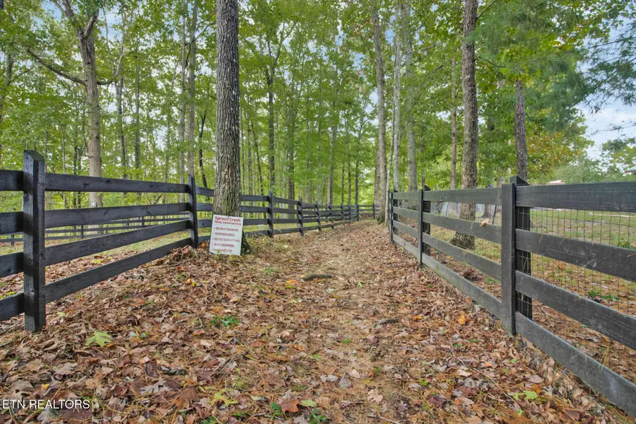 538 Spruce Creek Drive, Jamestown, TN 38556 - Image #3