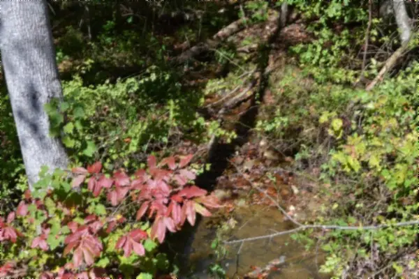 0 Arrow Trail, Monterey, TN 38574