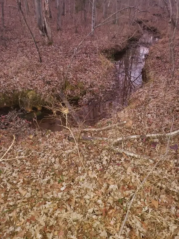 0 Indian Trl, Monterey, TN 38574