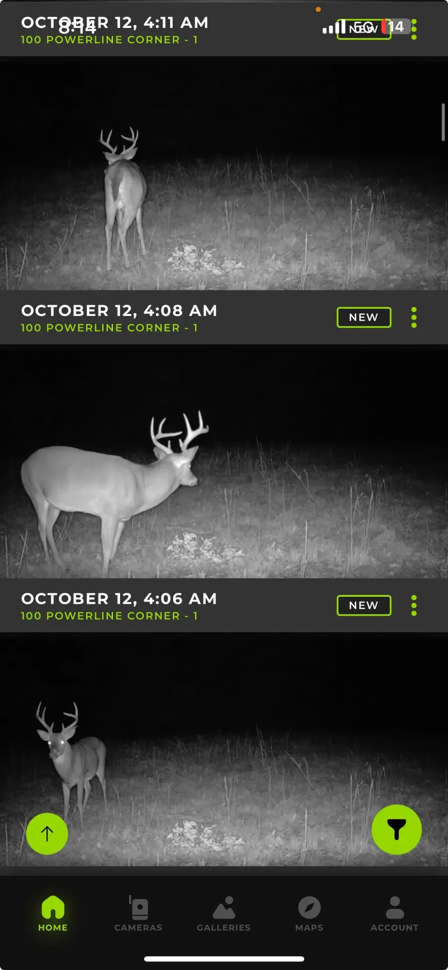 0 Allens Creek Rd, Hohenwald, TN 38462 - Image #2