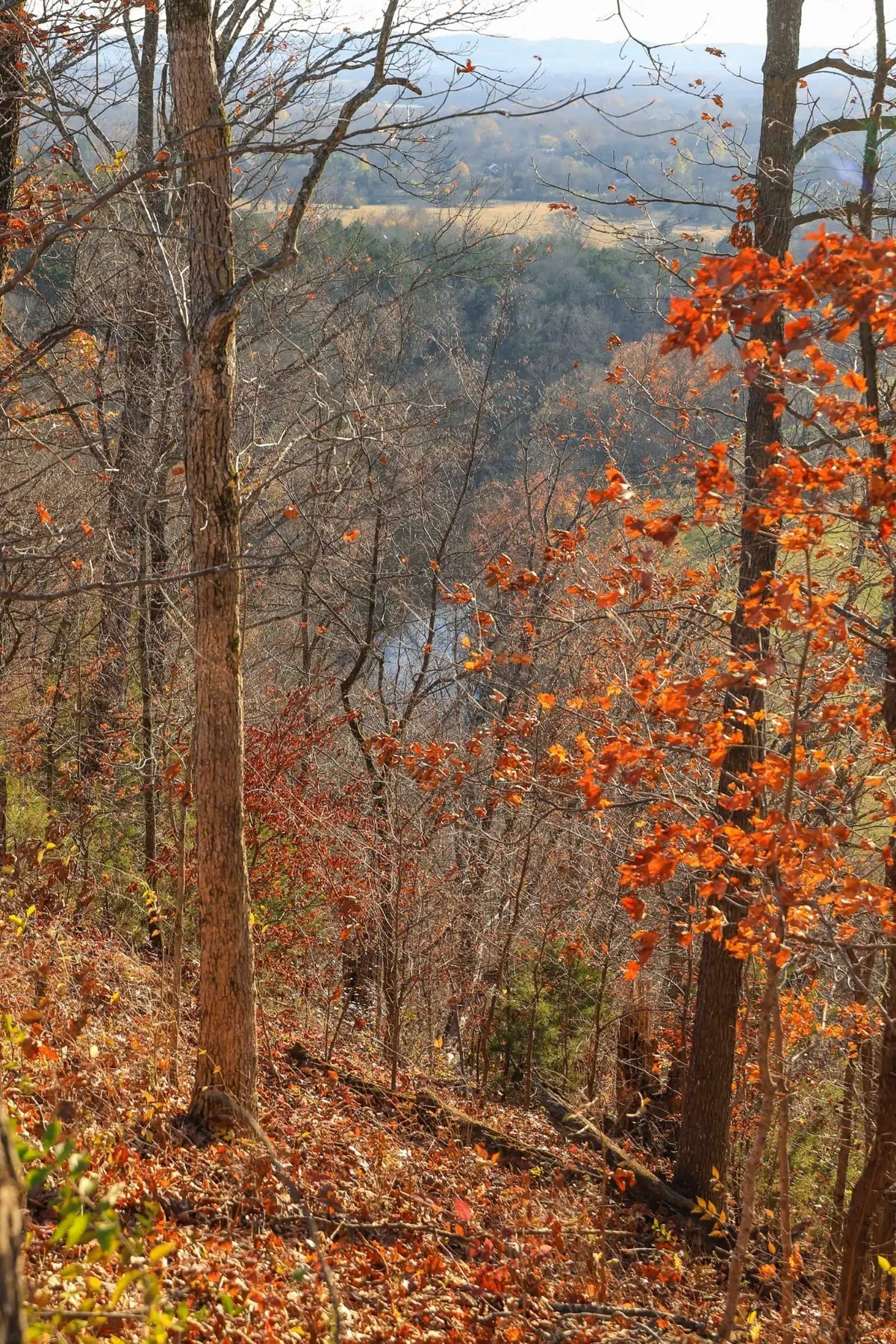 2064 Hillsboro Rd, Franklin, TN 37069 - Image #1