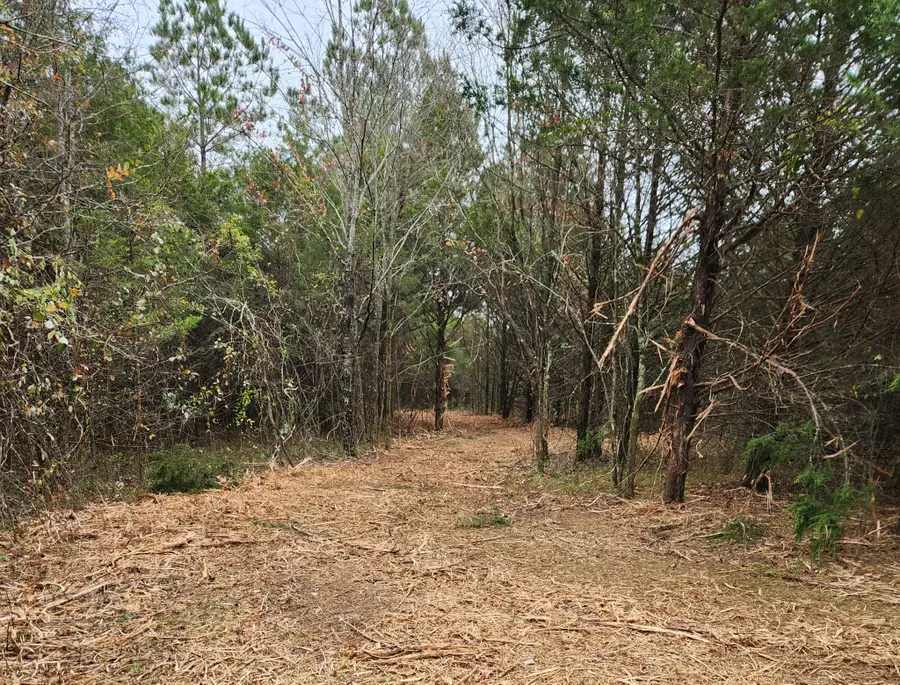 4230 Peytonsville Trinity Rd, Franklin, TN 37064 - #2