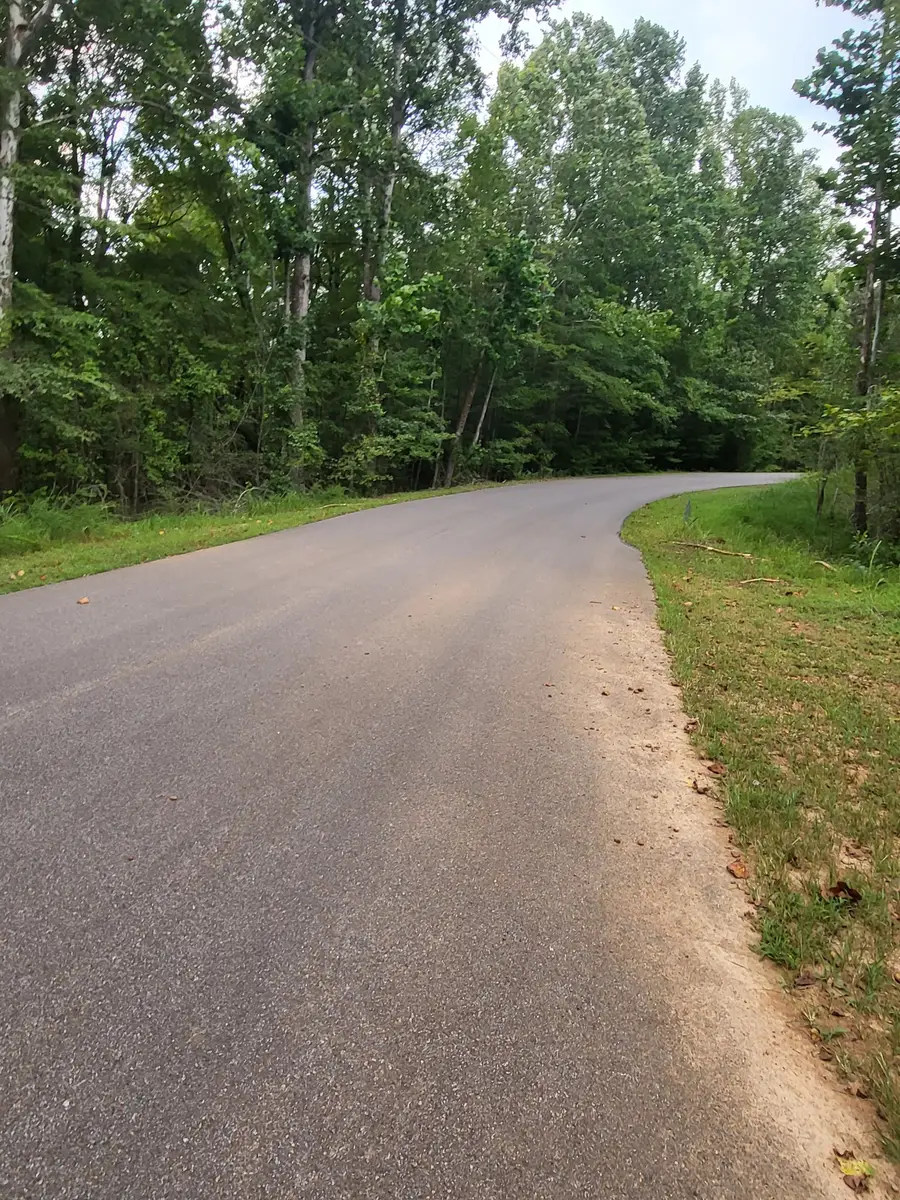 383 Tupelo Cove, Saulsbury, TN 38067 - #2