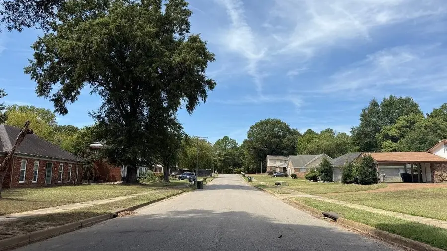 6541 Ivy Meadows Dr, Memphis, TN 38115 - Image #3