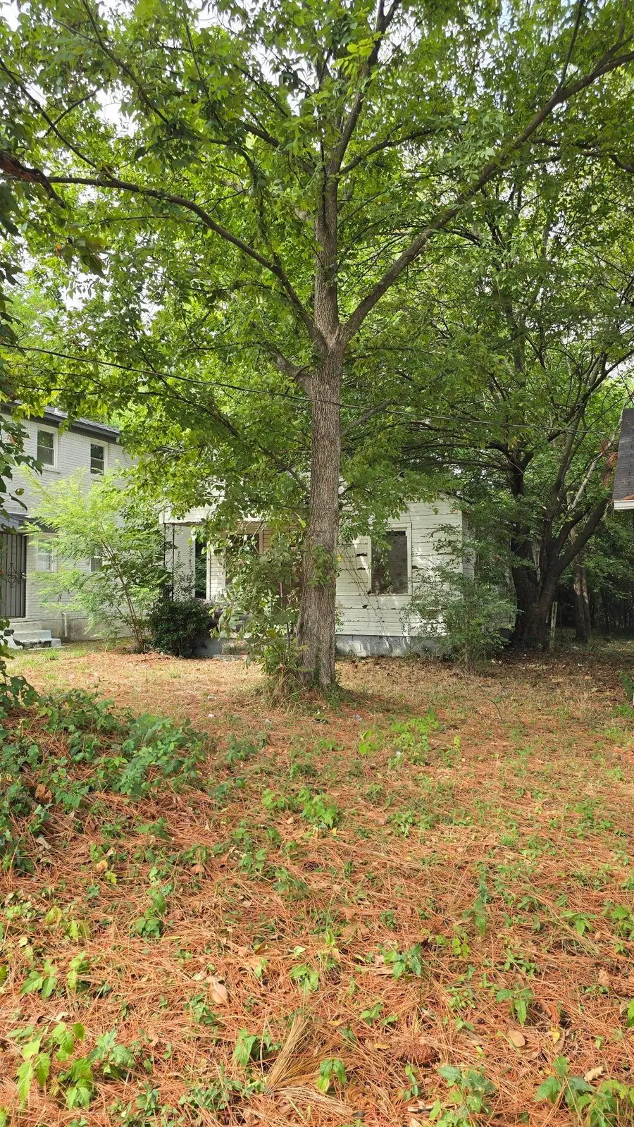 3046 Mcadoo Ave, Memphis, TN 38112 - Image #3