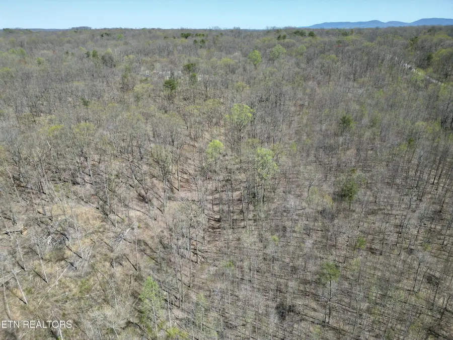 0 Ridge Road W, Pikeville, TN 37367 - Image #3