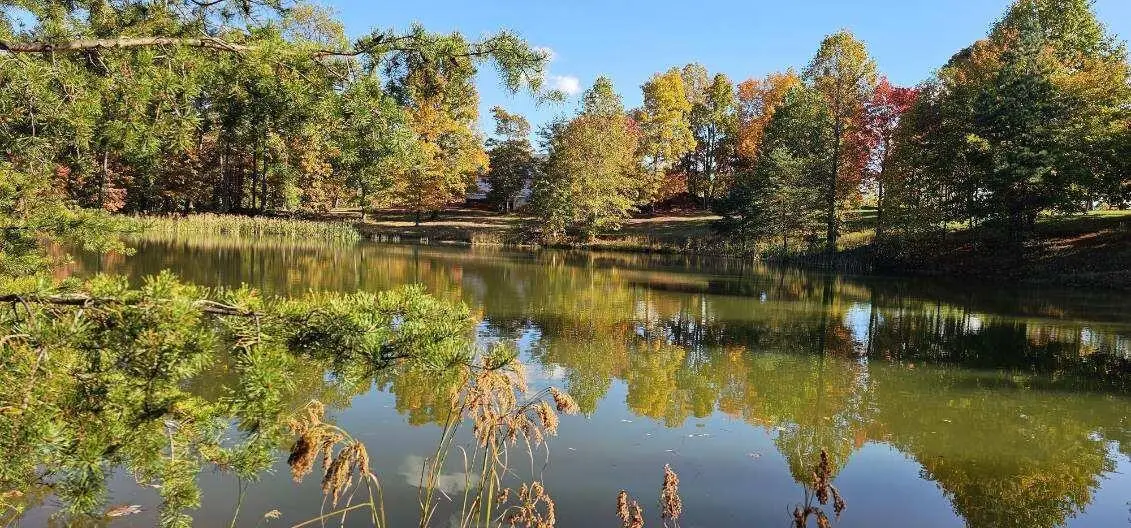 515 Wilderness Way, Dunlap, TN 37327 - #1