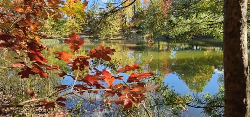 515 Wilderness Way, Dunlap, TN 37327 - #2