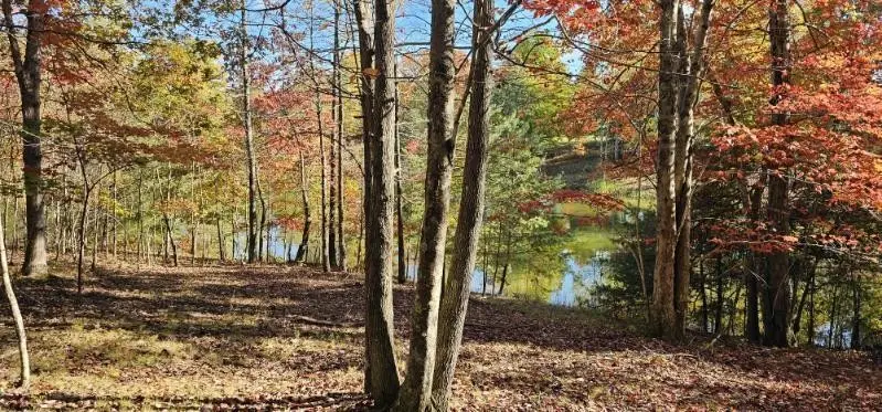 515 Wilderness Way, Dunlap, TN 37327 - #3