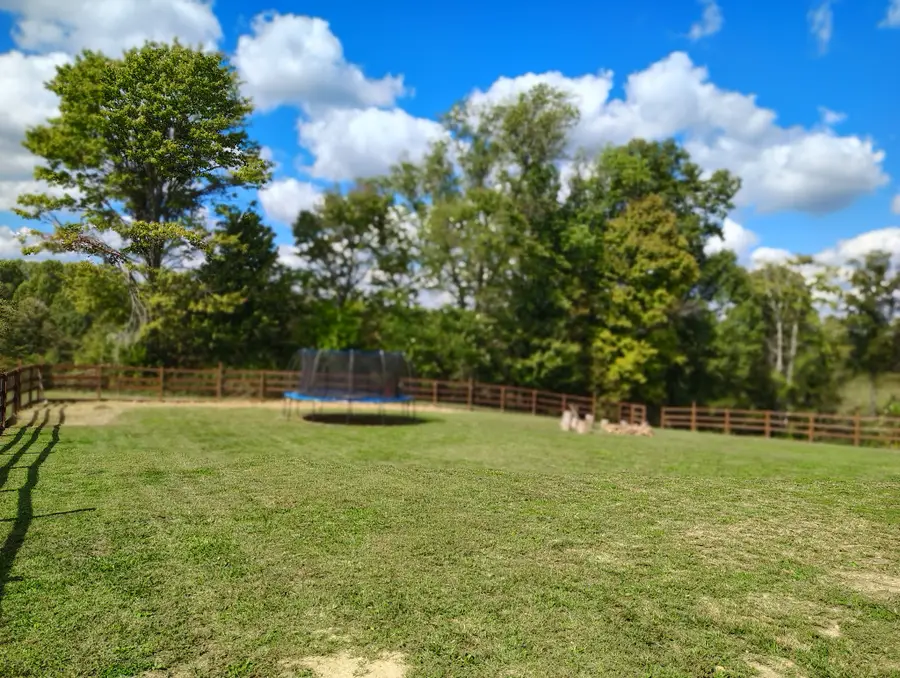 213 David Ln, Lafayette, TN 37083 - Image #3