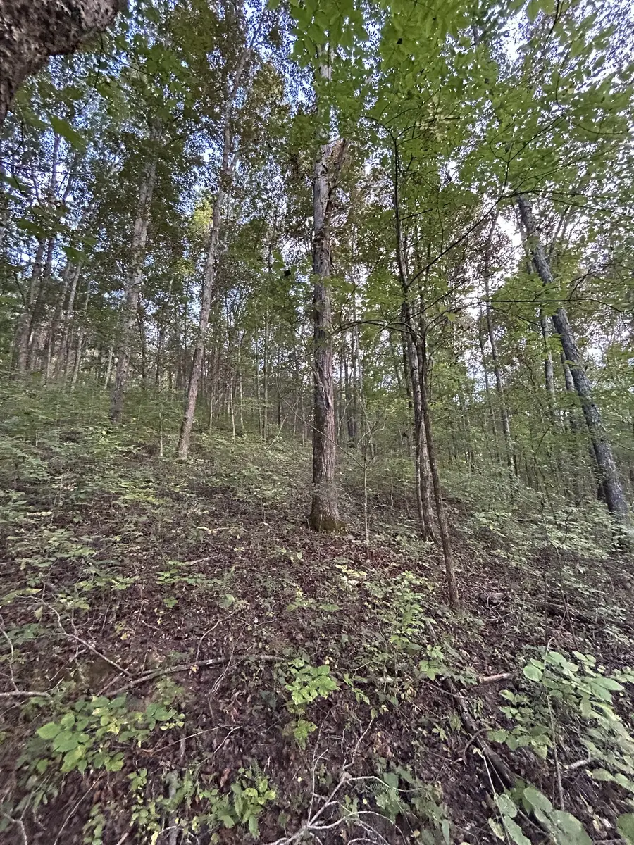 0 Lancaster Hwy, Hickman, TN 38567 - Image #3