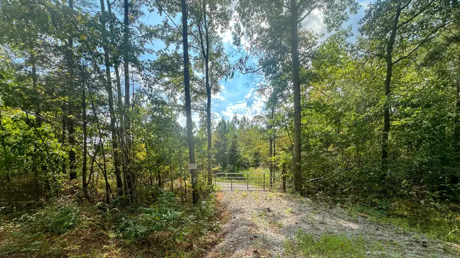 0 Jeannette Holladay Rd, Parsons, TN 38363 - Image #3