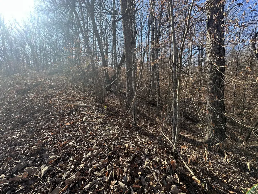 0 Highland Pl, Smithville, TN 37166 - Image #3