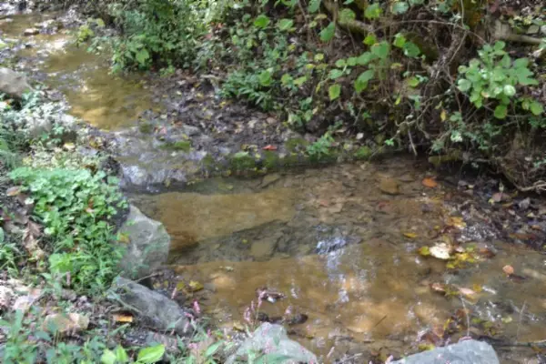 0 Campbell Hill Rd, Gainesboro, TN 38562