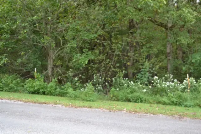 0 West Lane, Gainesboro, TN 38562 - Image #3