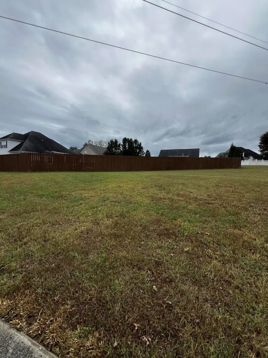 8764 Streamside Drive, Ooltewah, TN 37363 - Image #3