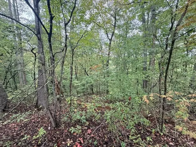 0 Tennis Center Drive, Smithville, TN 37166 - Image #1