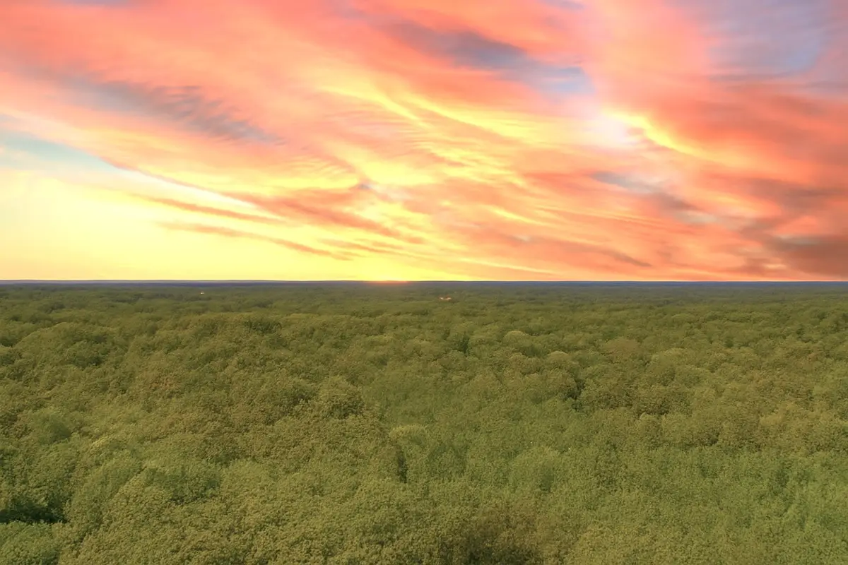 138 Vaughn Rd, Charlotte, TN 37036 - Image #1