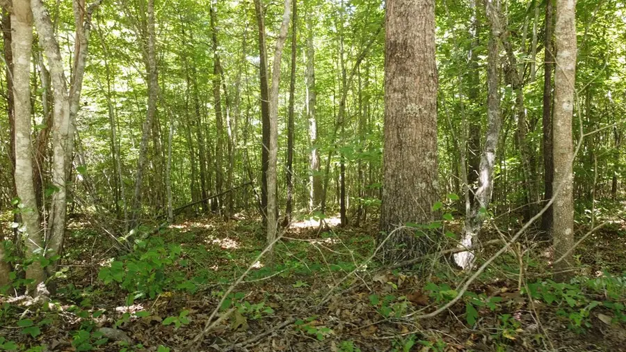 0 Camp Creek Rd, Spencer, TN 38585 - Image #2