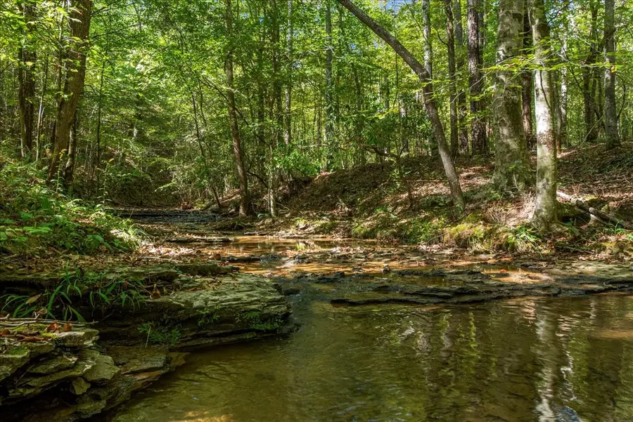 0 Fox Lane, Savannah, TN 38372 - Image #3