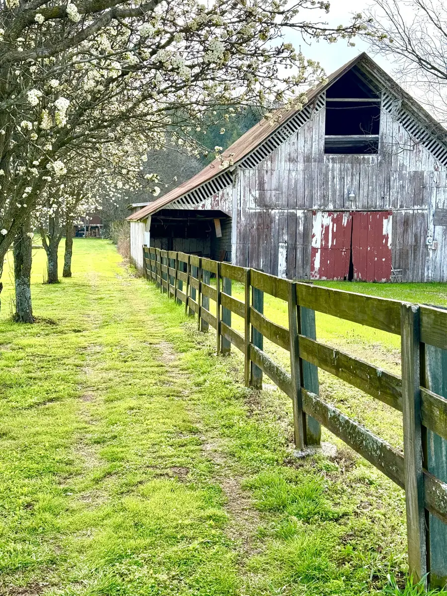 13560 Columbia Hwy, Lynnville, TN 38472 - Image #2