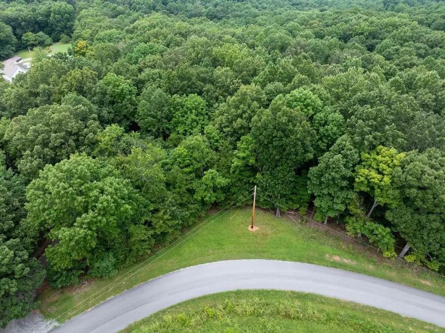 0 Cedar Hill Road, Vanleer, TN 37181 - Image #3