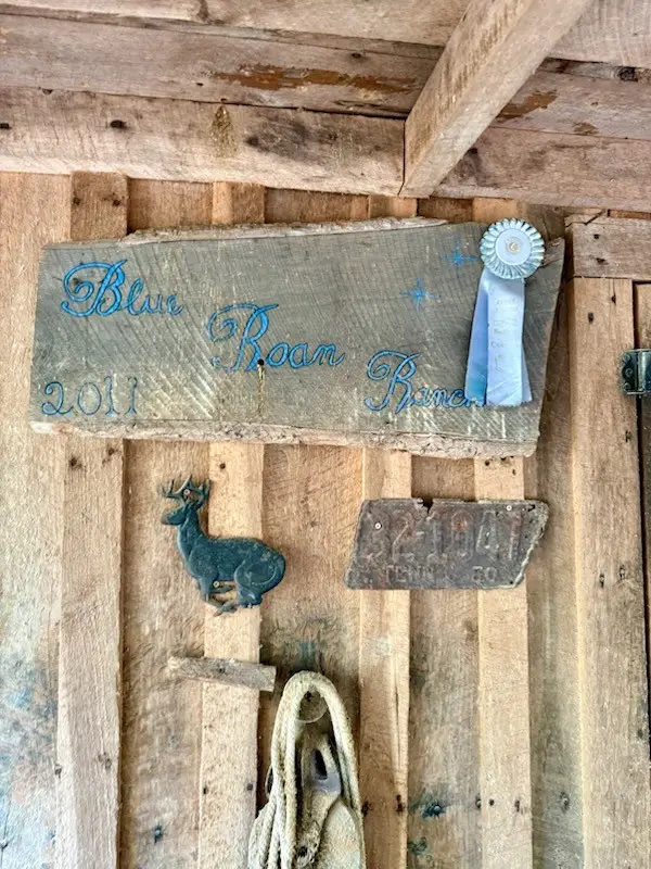 128 Day Break Rd, Summertown, TN 38483 - Image #2