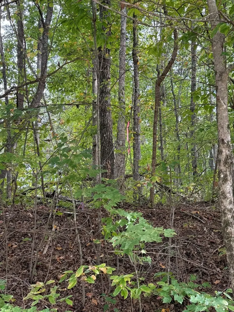 0 W Laurel Way, Monterey, TN 38574 - #3