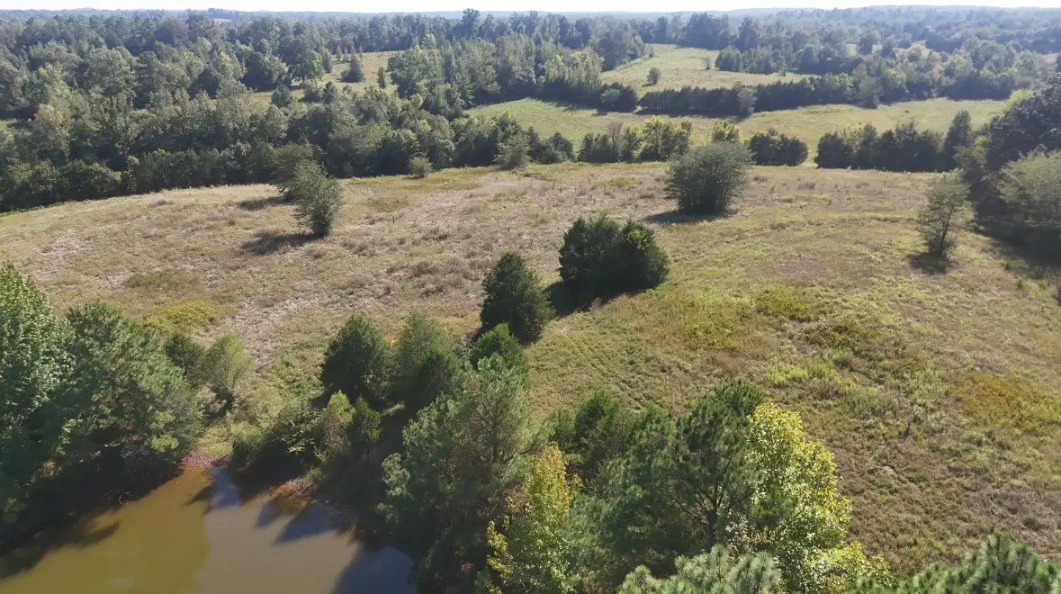 0 Middleburg Rd, Decaturville, TN 38329 - Image #1