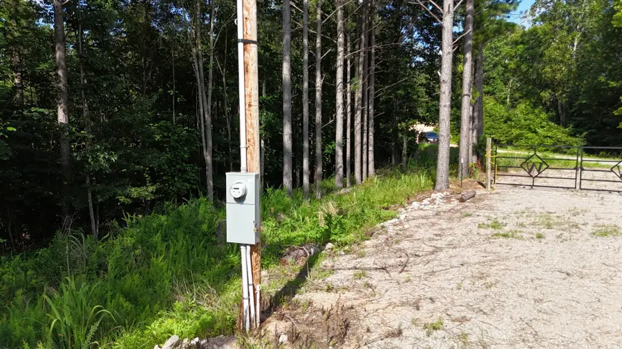 5681 Old Hohenwald Rd, Linden, TN 37096 - Image #3